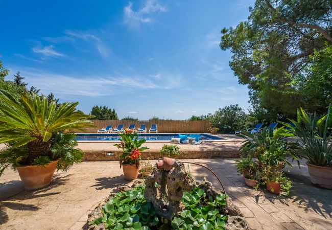 Domaine à Can Picafort - Propriété rurale Can Ribas à Can Picafort Domaine à Can Picafort - Propriété rurale Can Ribas à Can Picafort