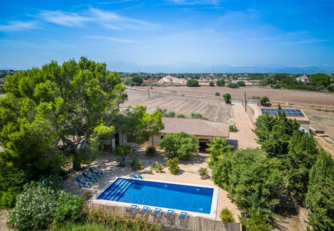 Domaine à Can Picafort - Propriété rurale Can Ribas à Can Picafort Domaine à Can Picafort - Propriété rurale Can Ribas à Can Picafort