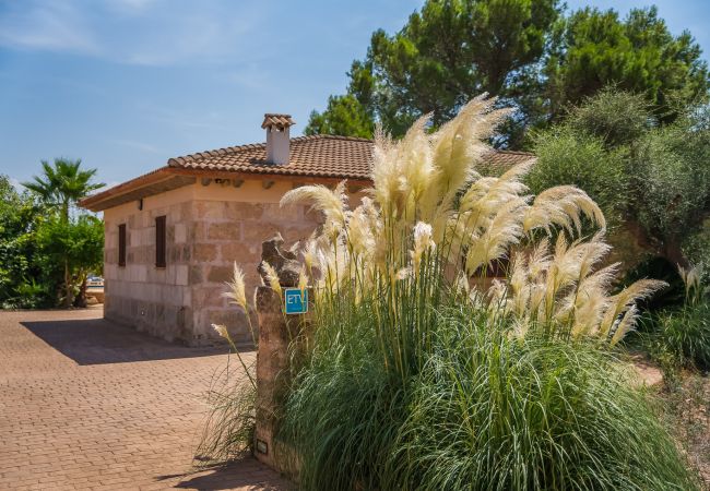 Domaine à Can Picafort - Propriété rurale Can Ribas à Can Picafort Domaine à Can Picafort - Propriété rurale Can Ribas à Can Picafort