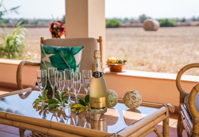 Domaine à Can Picafort - Propriété rurale Can Ribas à Can Picafort Domaine à Can Picafort - Propriété rurale Can Ribas à Can Picafort