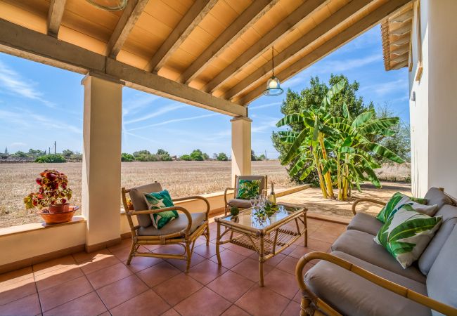 Domaine à Can Picafort - Propriété rurale Can Ribas à Can Picafort Domaine à Can Picafort - Propriété rurale Can Ribas à Can Picafort