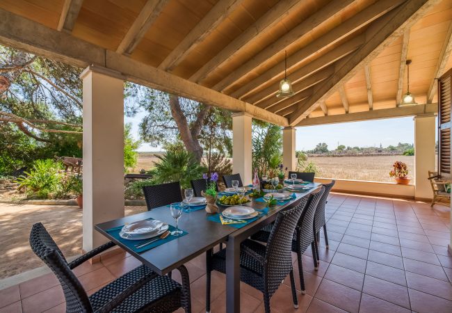 Domaine à Can Picafort - Propriété rurale Can Ribas à Can Picafort Domaine à Can Picafort - Propriété rurale Can Ribas à Can Picafort