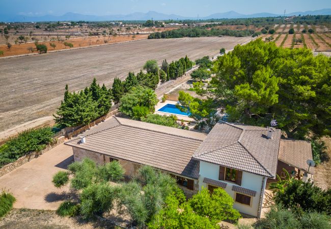 Domaine à Can Picafort - Propriété rurale Can Ribas à Can Picafort Domaine à Can Picafort - Propriété rurale Can Ribas à Can Picafort