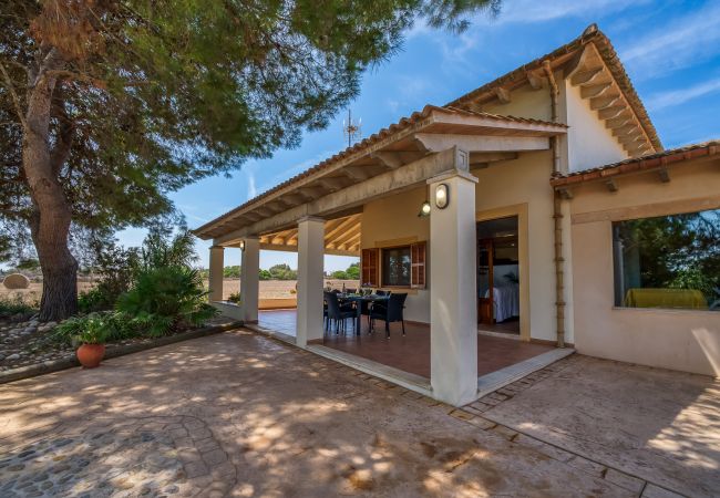 Domaine à Can Picafort - Propriété rurale Can Ribas à Can Picafort Domaine à Can Picafort - Propriété rurale Can Ribas à Can Picafort