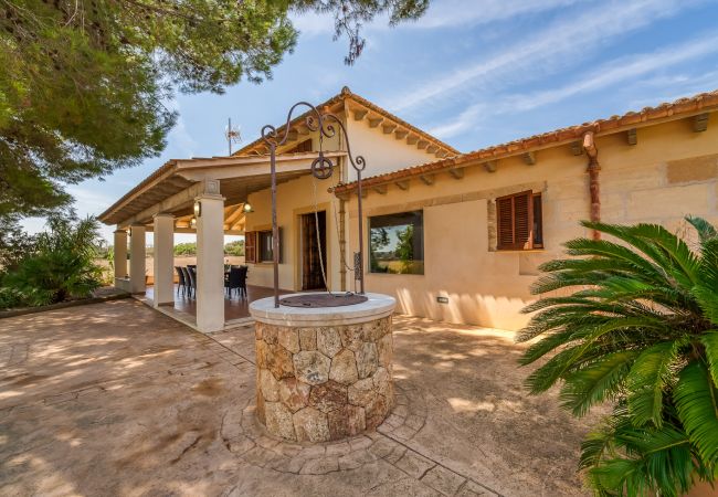 Domaine à Can Picafort - Propriété rurale Can Ribas à Can Picafort Domaine à Can Picafort - Propriété rurale Can Ribas à Can Picafort