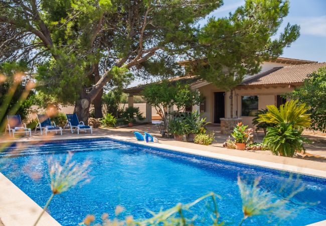 Domaine à Can Picafort - Propriété rurale Can Ribas à Can Picafort Domaine à Can Picafort - Propriété rurale Can Ribas à Can Picafort