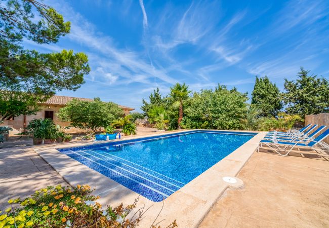 Domaine à Can Picafort - Propriété rurale Can Ribas à Can Picafort Domaine à Can Picafort - Propriété rurale Can Ribas à Can Picafort