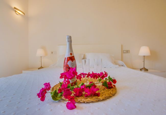 Maison à Puerto Pollensa - Maison Puerto Pollensa Llenaire piscine et vue sur la plage Maison à Puerto Pollensa - Maison Puerto Pollensa Llenaire piscine et vue sur la plage