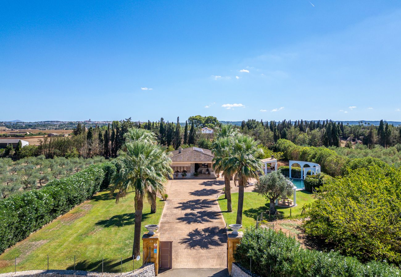 Domaine à Sa Pobla - Finca Son Manyo 223 avec piscine à Mallorca