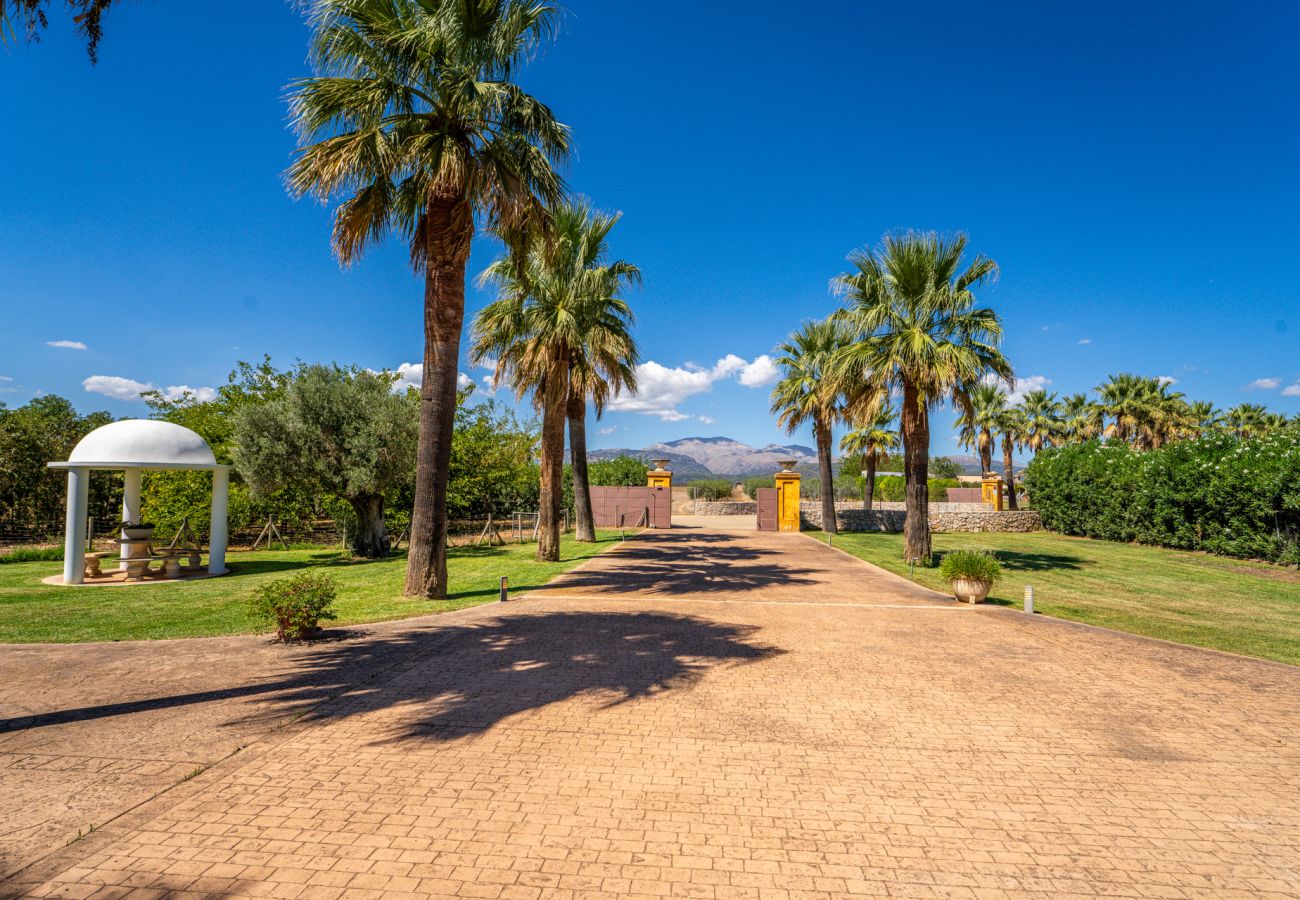 Domaine à Sa Pobla - Finca Son Manyo 223 avec piscine à Mallorca