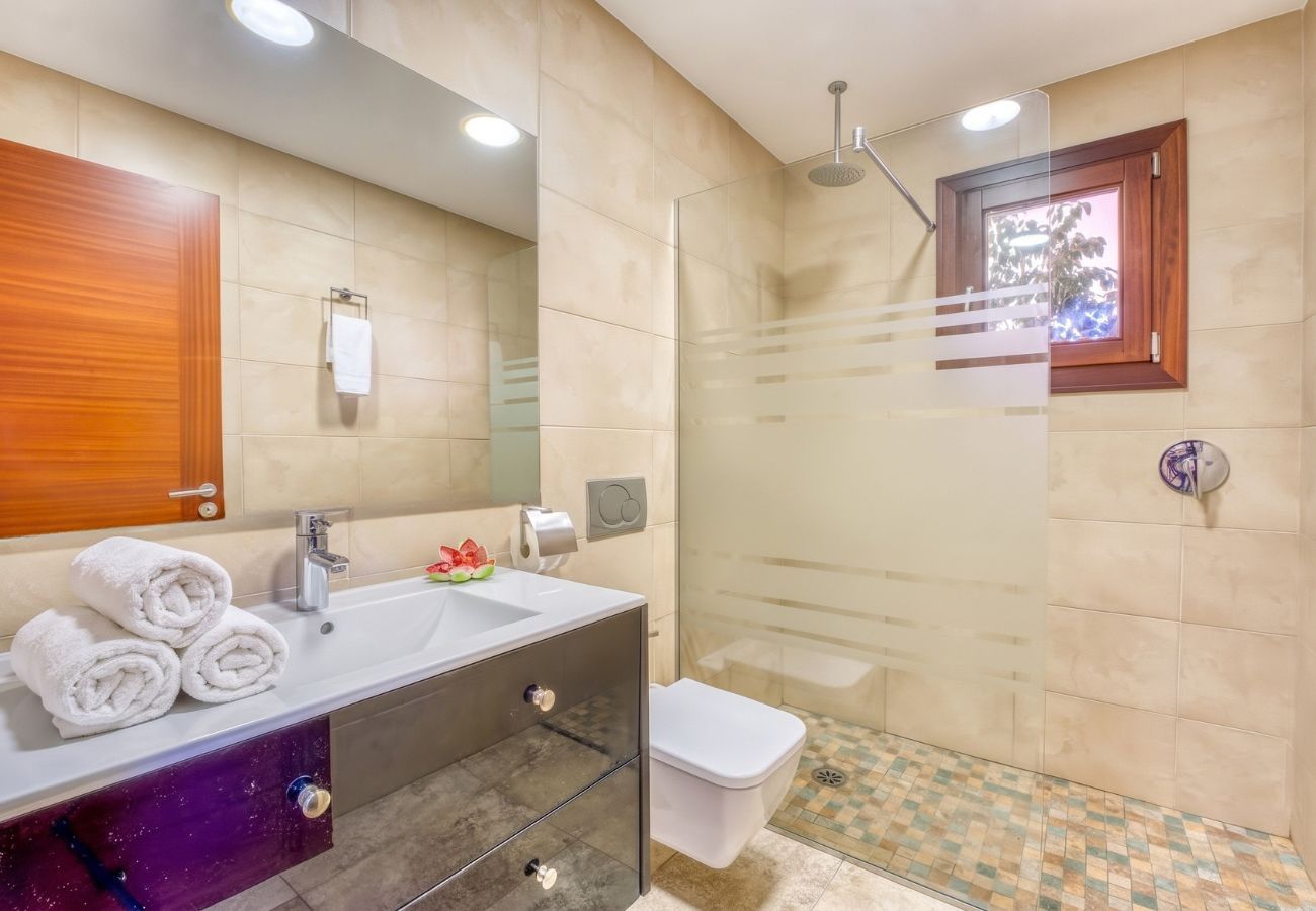 Domaine à Sa Pobla - Finca Son Manyo 223 avec piscine à Mallorca