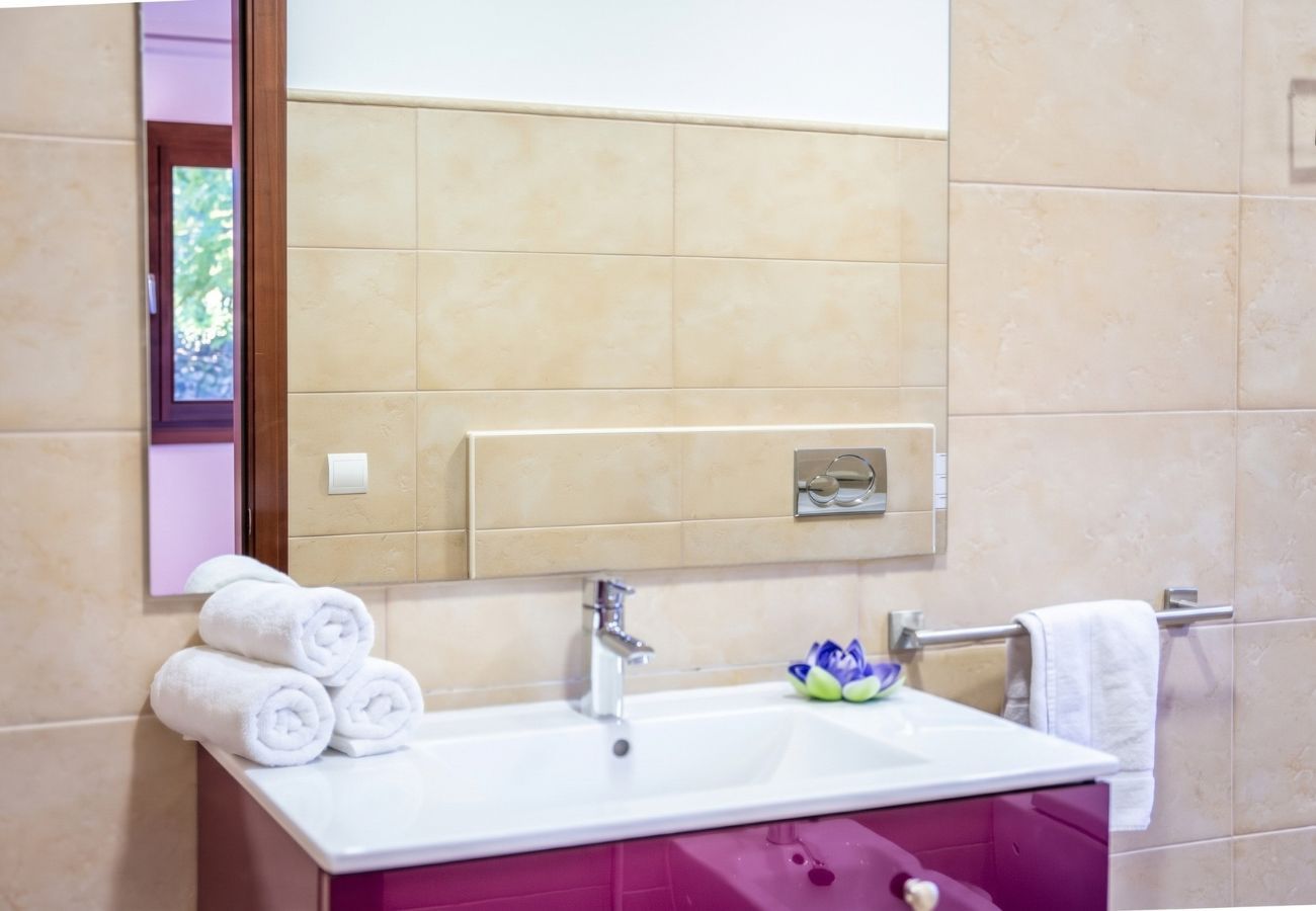 Domaine à Sa Pobla - Finca Son Manyo 223 avec piscine à Mallorca