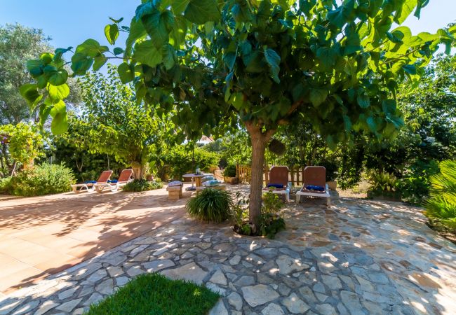 Domaine à Capdepera - Finca au milieu de la nature à Na Babayana à Majorque Domaine à Capdepera - Finca au milieu de la nature à Na Babayana à Majorque