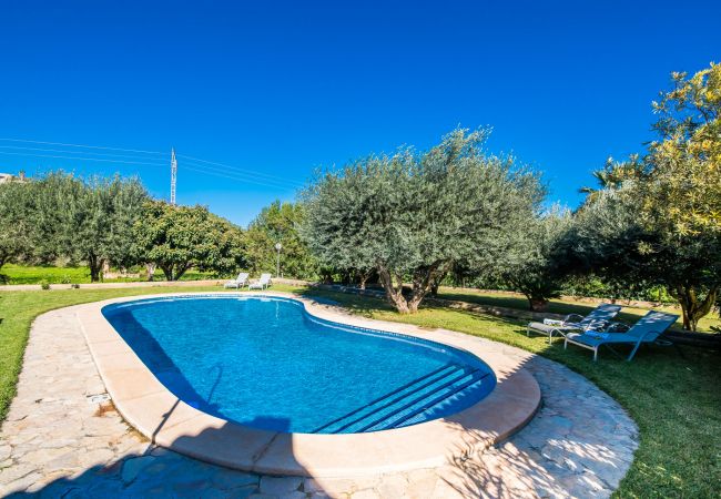 Domaine à Buger - Finca à Majorque, Cas Home avec court de tennis. Domaine à Buger - Finca à Majorque, Cas Home avec court de tennis.