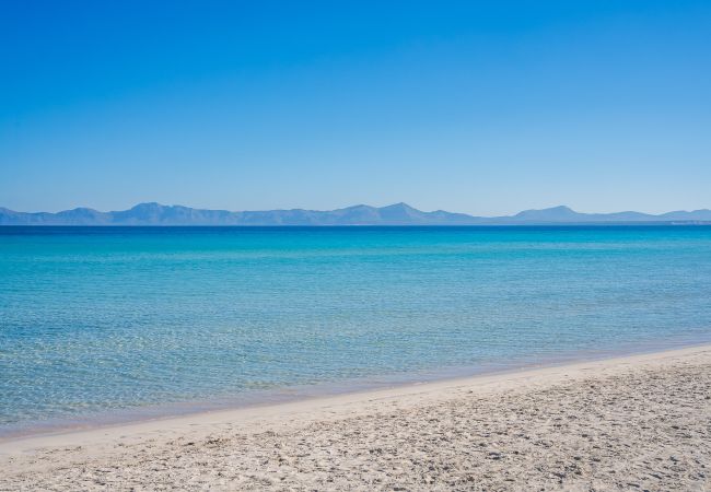 Appartement à Puerto de Alcudia - Appartement Mary en front de mer à Port Alcudia Appartement à Puerto de Alcudia - Appartement Mary en front de mer à Port Alcudia