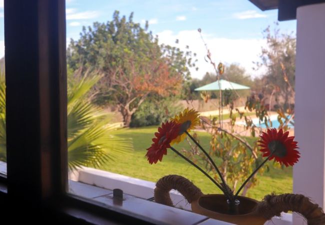 Domaine à Son Servera - Finca à Mallorca Punta ses planes avec piscine Domaine à Son Servera - Finca à Mallorca Punta ses planes avec piscine