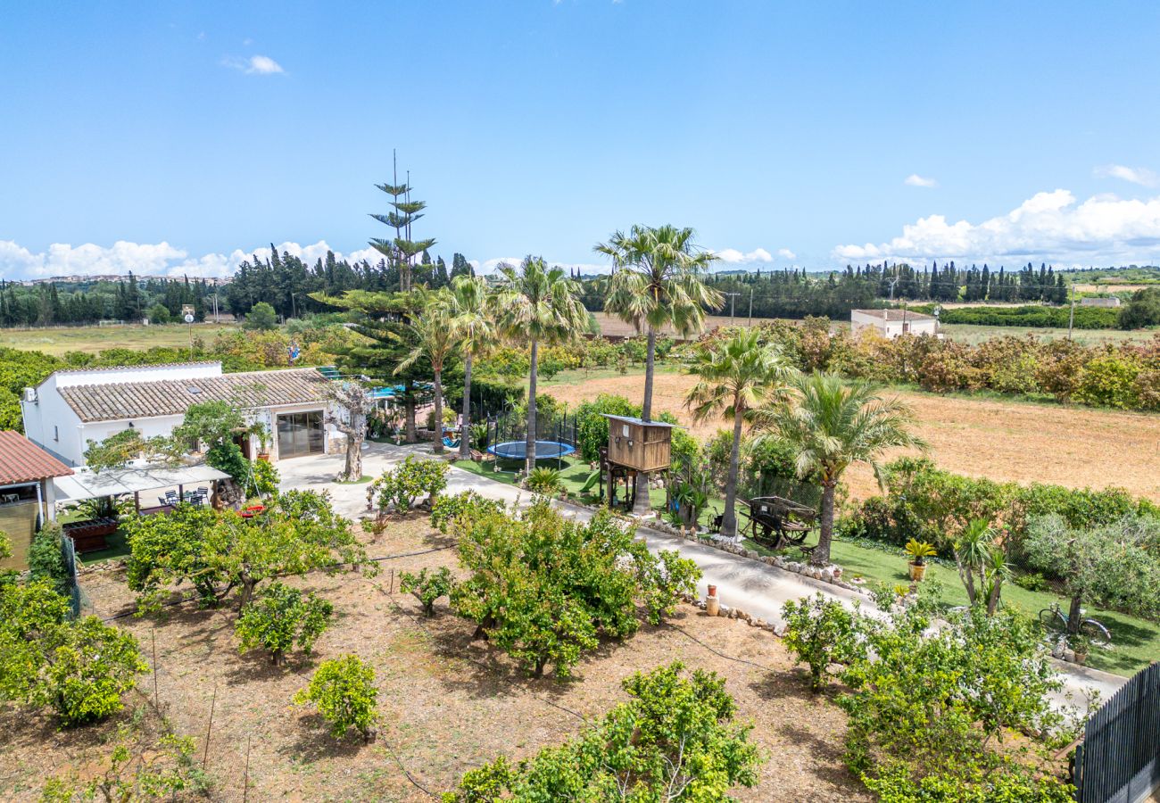 Domaine à Llubi - Finca avec piscine Can Pintat à Majorque