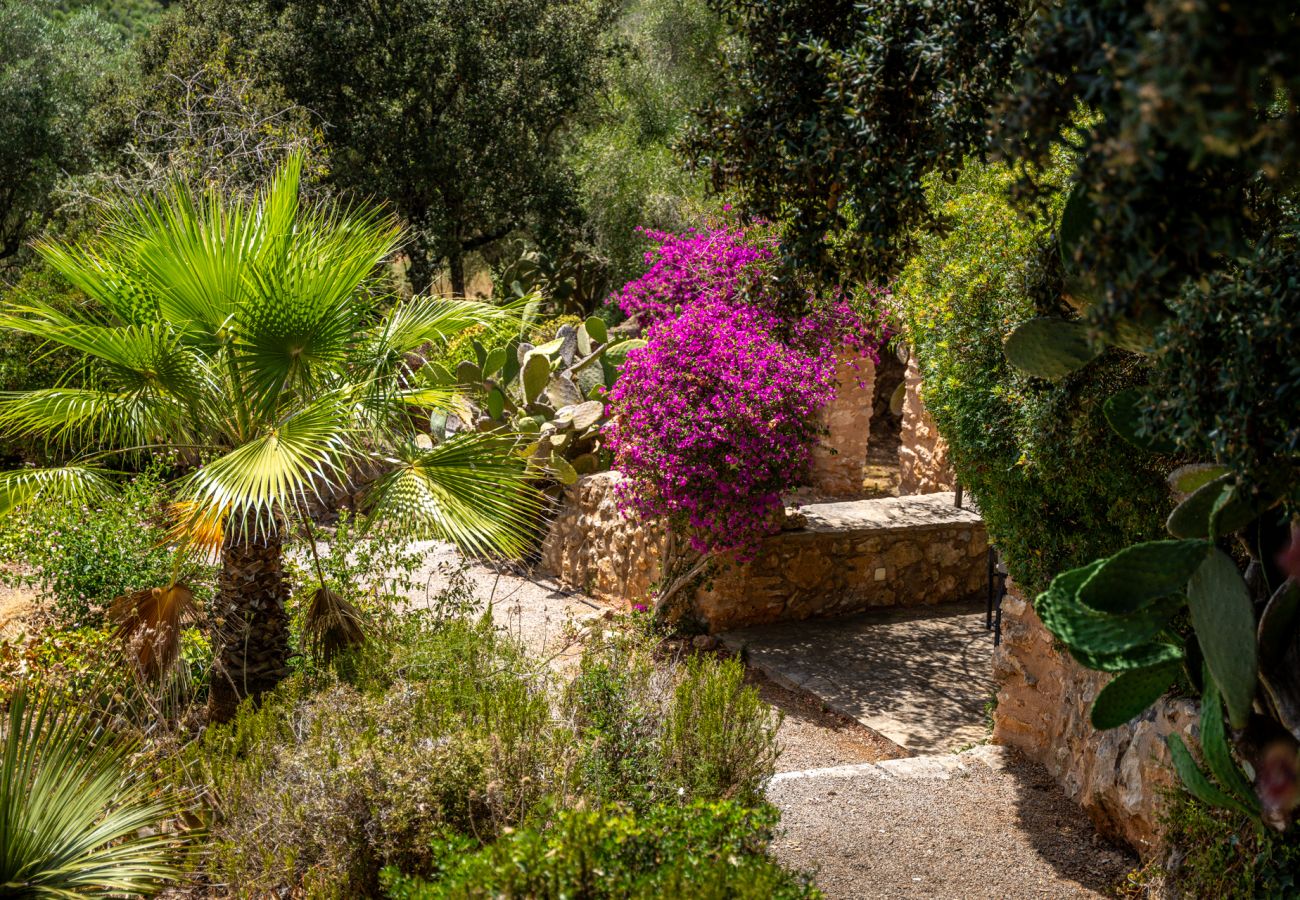 Maison à Manacor (Porto Cristo) - Finca avec piscine à Can Treupoc, Porto Cristo