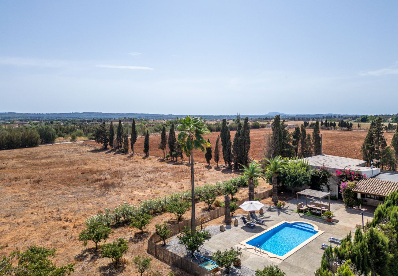 Chalet à Sa Pobla - Finca avec piscine Son Manyo 2 Petit à Sa Pobla