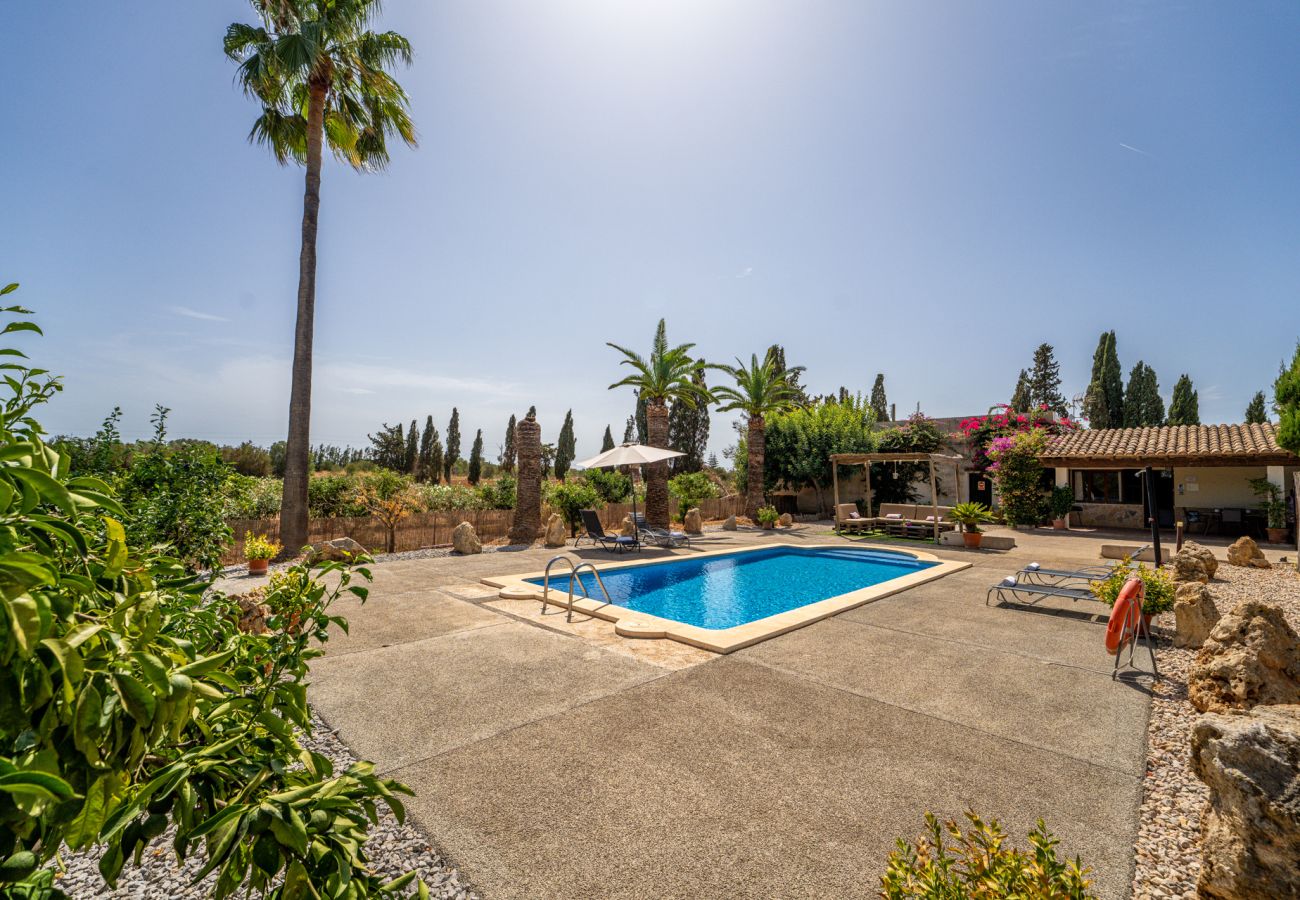 Chalet à Sa Pobla - Finca avec piscine Son Manyo 2 Petit à Sa Pobla