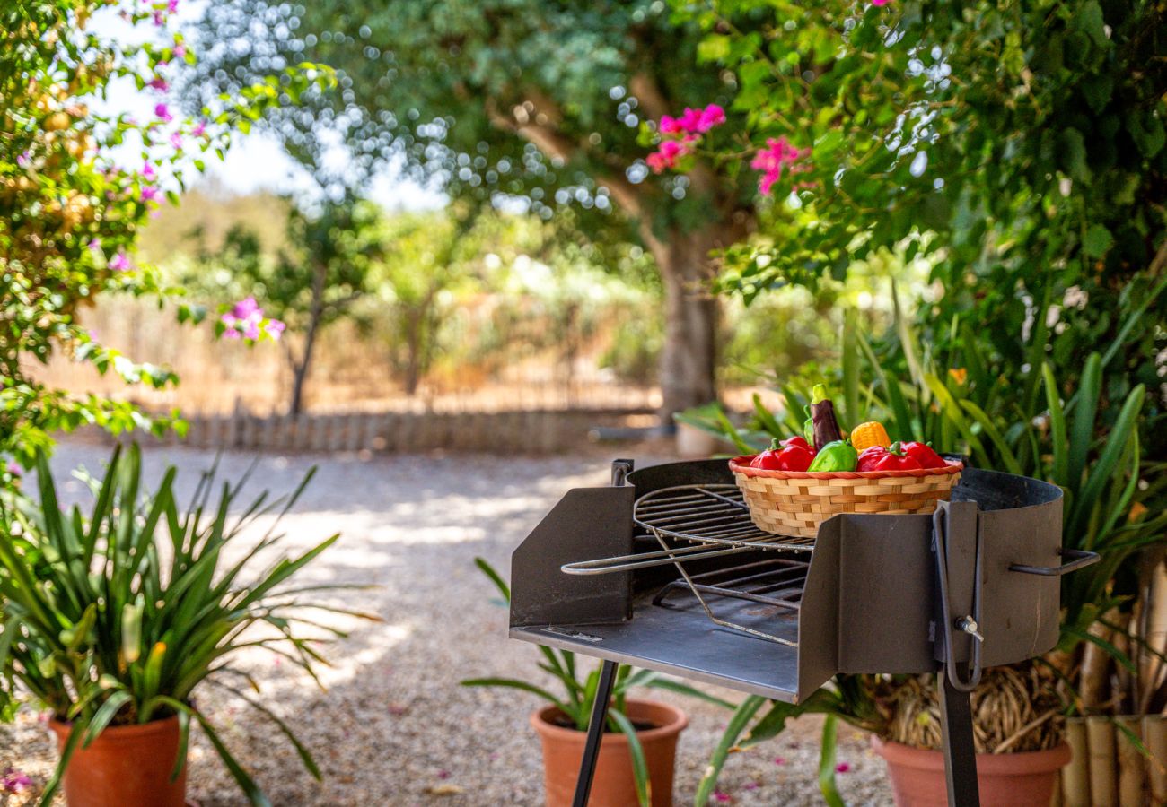 Chalet à Sa Pobla - Finca avec piscine Son Manyo 2 Petit à Sa Pobla