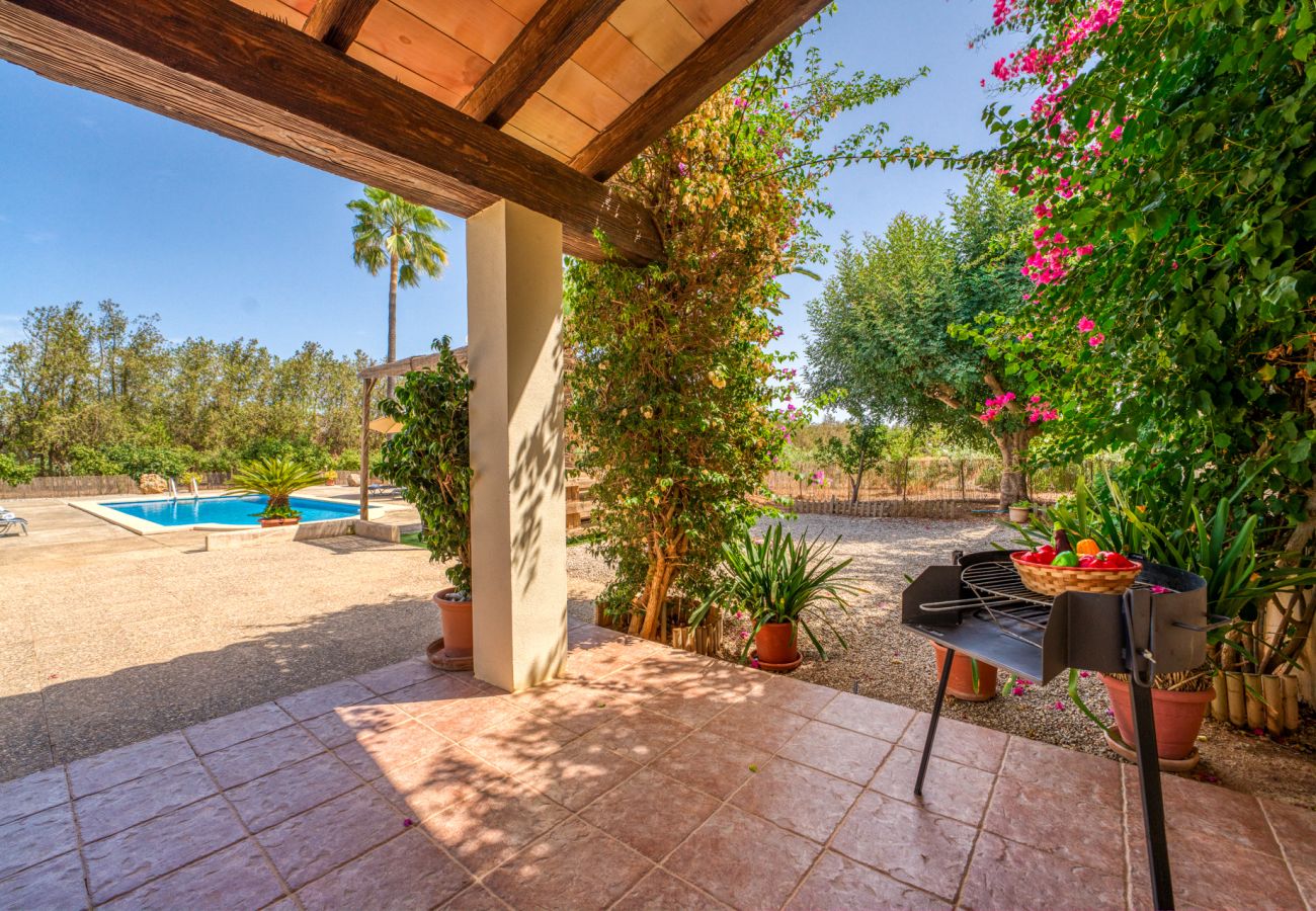 Chalet à Sa Pobla - Finca avec piscine Son Manyo 2 Petit à Sa Pobla