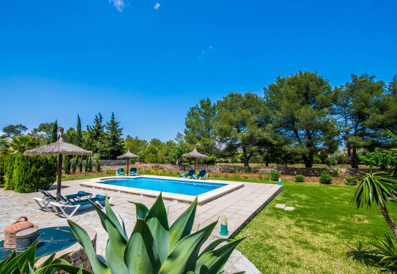 Country house in Pollensa - Majorcan finca Alcudia La Caseta with pool