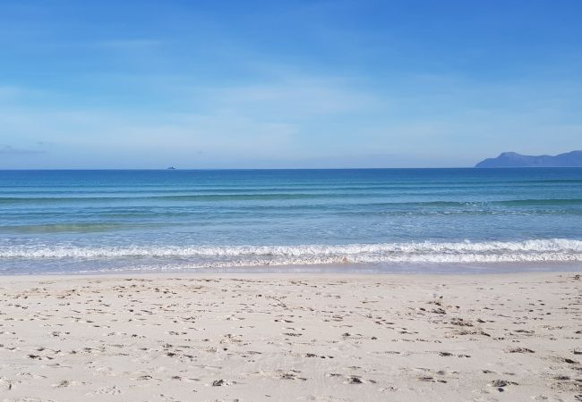 Apartment in Alcúdia - Flat Blue Attic Beach with Sea View Port Alcudia  Apartment in Alcúdia - Flat Blue Attic Beach with Sea View Port Alcudia