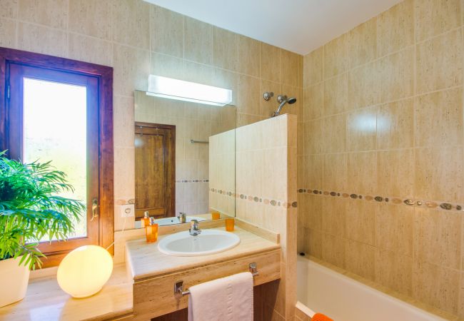 Apartment in Can Picafort - Apartment with pool Angelo in Can Picafort Apartment in Can Picafort - Apartment with pool Angelo in Can Picafort