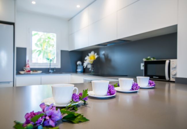 Apartment in Alcúdia - Apartment in Alcudia Cittadini 26 on seafront Apartment in Alcúdia - Apartment in Alcudia Cittadini 26 on seafront