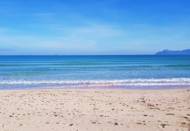 Apartment in Alcúdia - Luxury apartment Blue Sea in Alcudia beachview Apartment in Alcúdia - Luxury apartment Blue Sea in Alcudia beachview