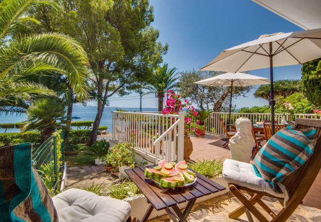 House in Alcanada - House in first line Bell Punt in Alcudia House in Alcanada - House in first line Bell Punt in Alcudia