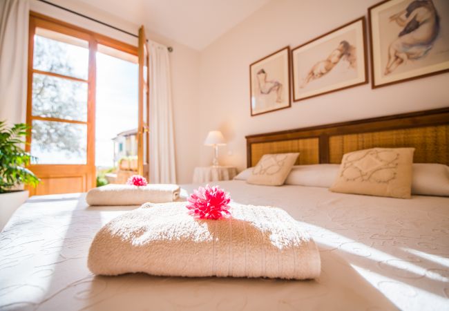 Apartment in Sa Rapita - Apartment close to sea Blau Mari pool in Mallorca Apartment in Sa Rapita - Apartment close to sea Blau Mari pool in Mallorca