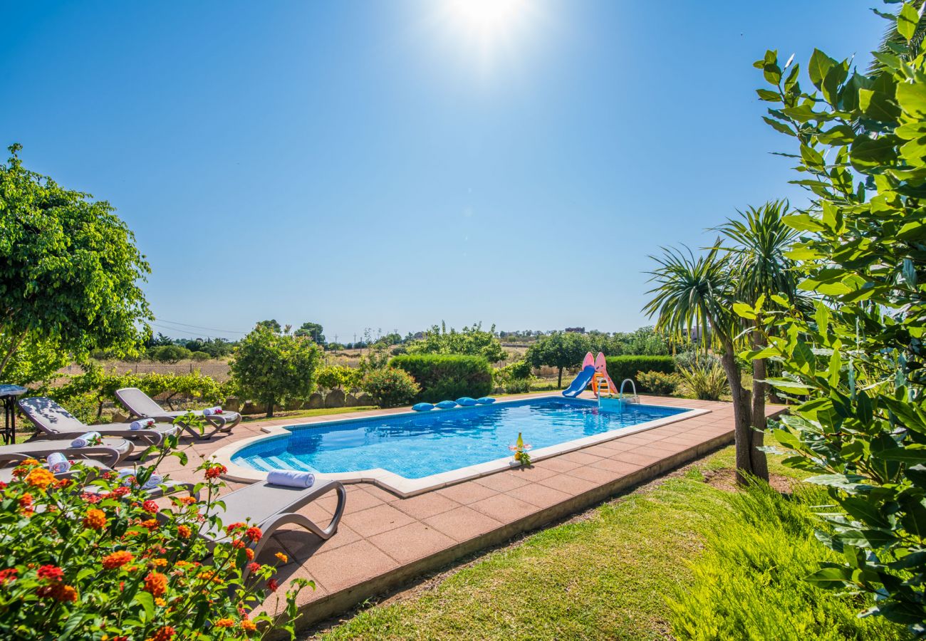 Country house in Santa Margalida - Majorcan Finca Coscois with swimming pool Mallorca