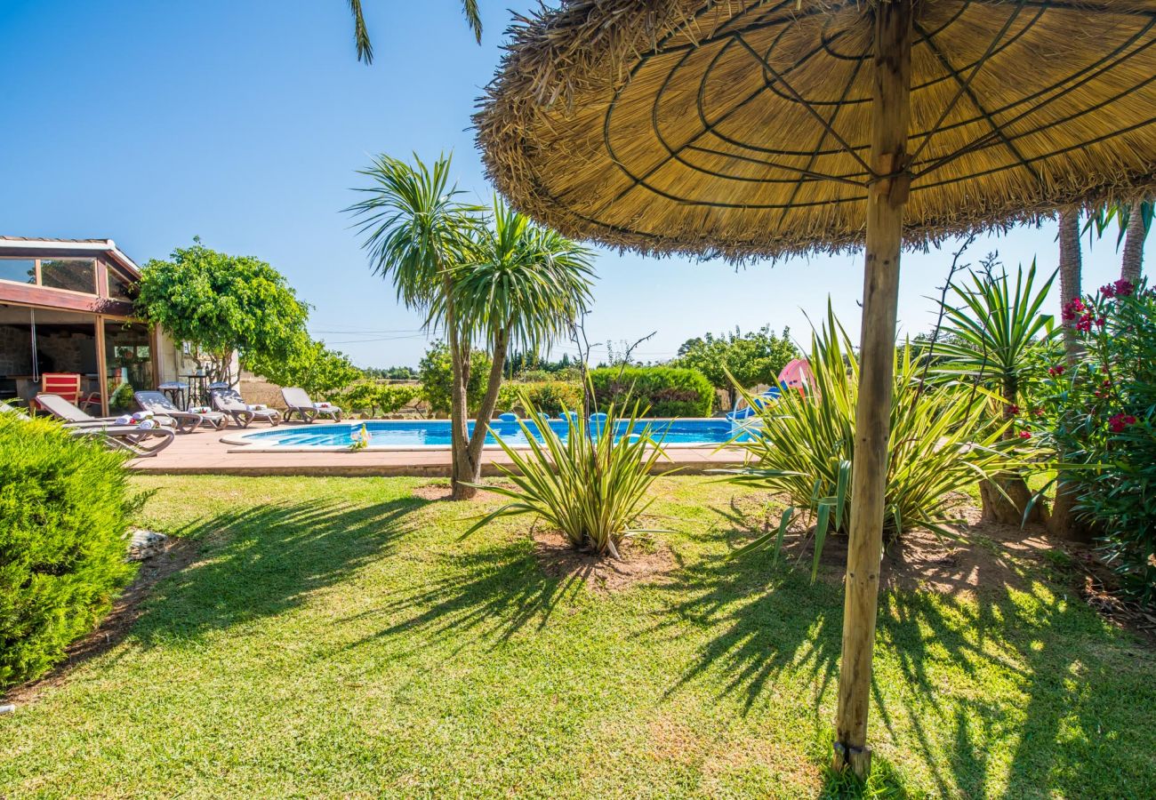 Country house in Santa Margalida - Majorcan Finca Coscois with swimming pool Mallorca
