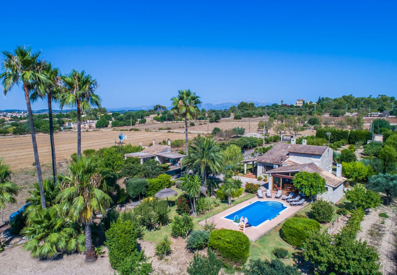 Country house in Santa Margalida - Majorcan Finca Coscois with swimming pool Mallorca