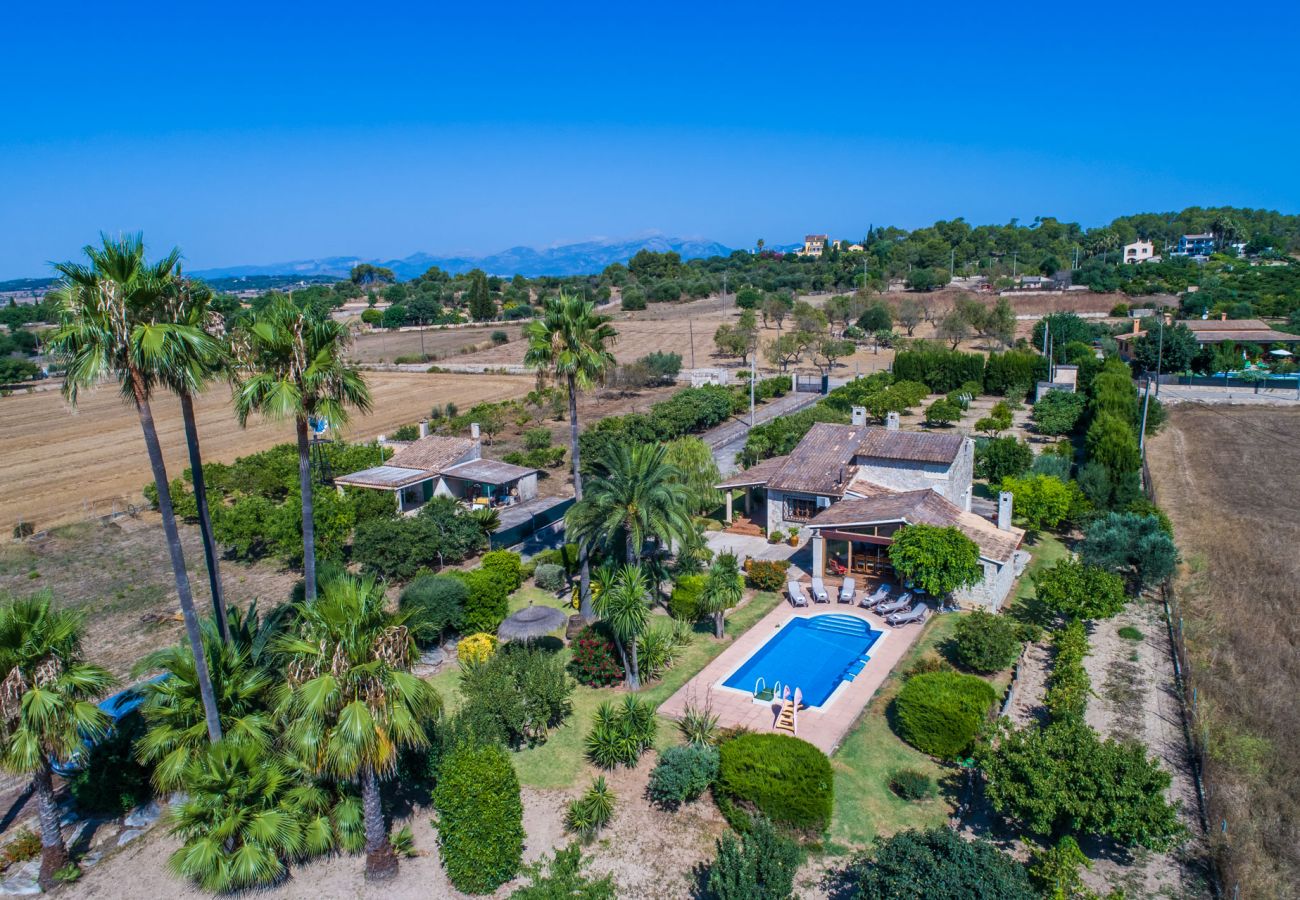 Country house in Santa Margalida - Majorcan Finca Coscois with swimming pool Mallorca