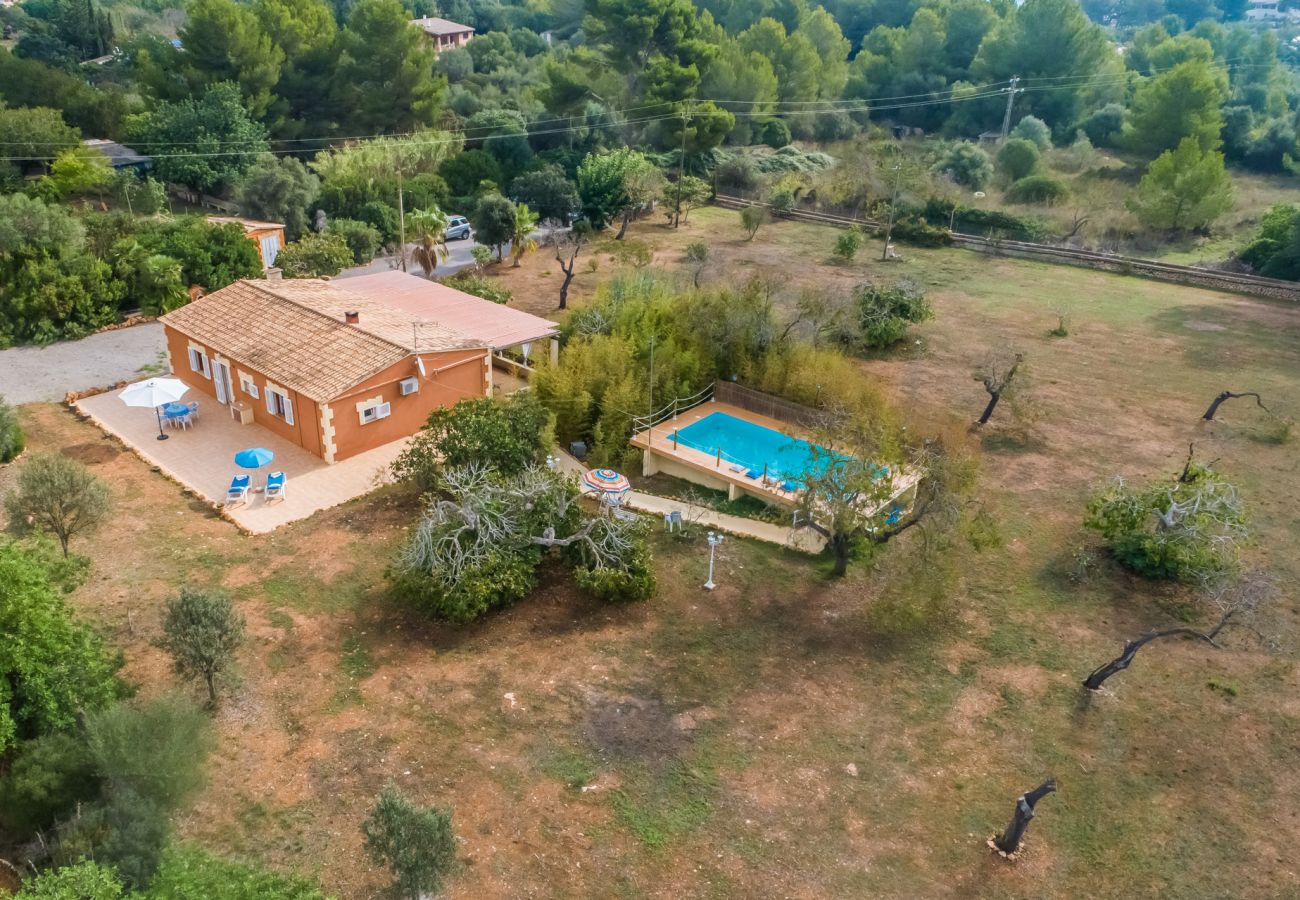 Vacations in Mallorca in finca with pool.