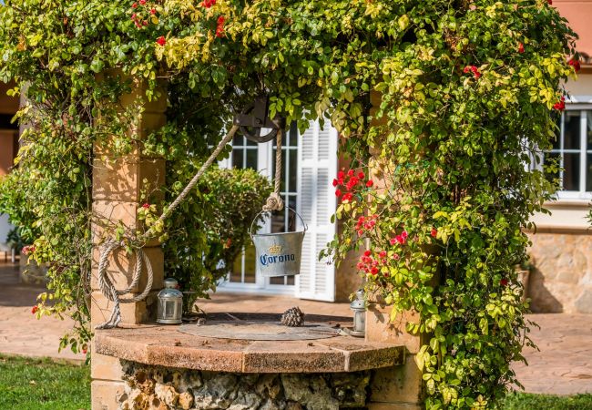 Country house in Inca - Finca in Mallorca Can Caragol Inca with pool Country house in Inca - Finca in Mallorca Can Caragol Inca with pool