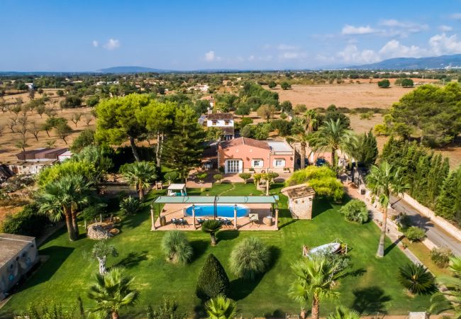 Country house in Inca - Finca in Mallorca Can Caragol Inca with pool Country house in Inca - Finca in Mallorca Can Caragol Inca with pool