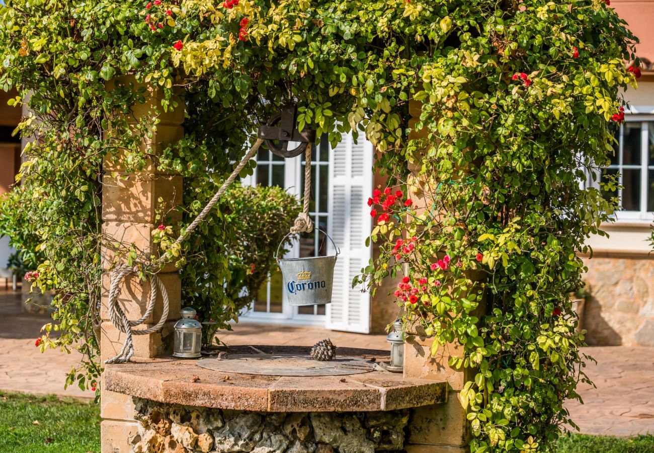 Country house in Inca - Finca in Mallorca Can Caragol Inca with pool