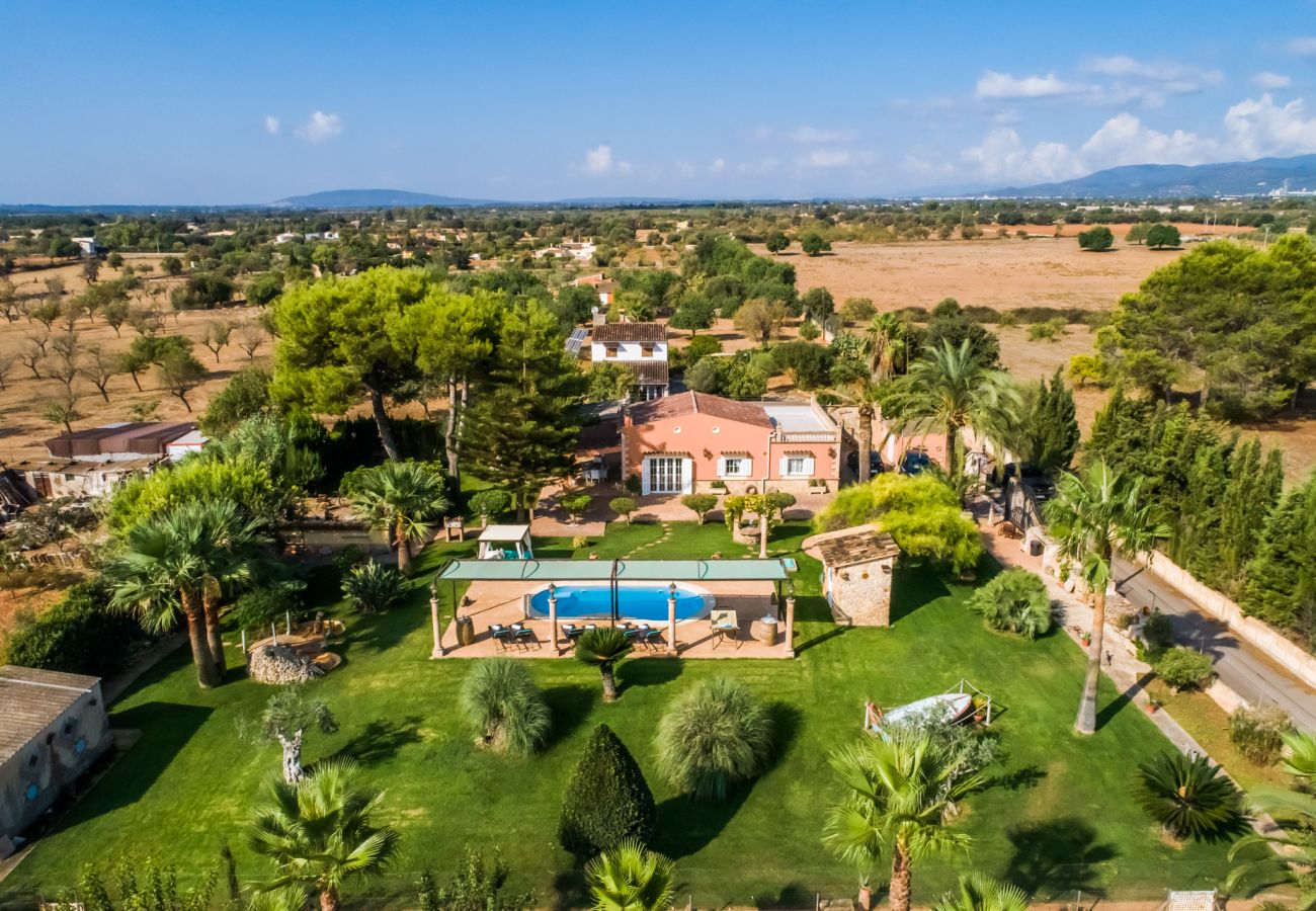 Country house in Inca - Finca in Mallorca Can Caragol Inca with pool