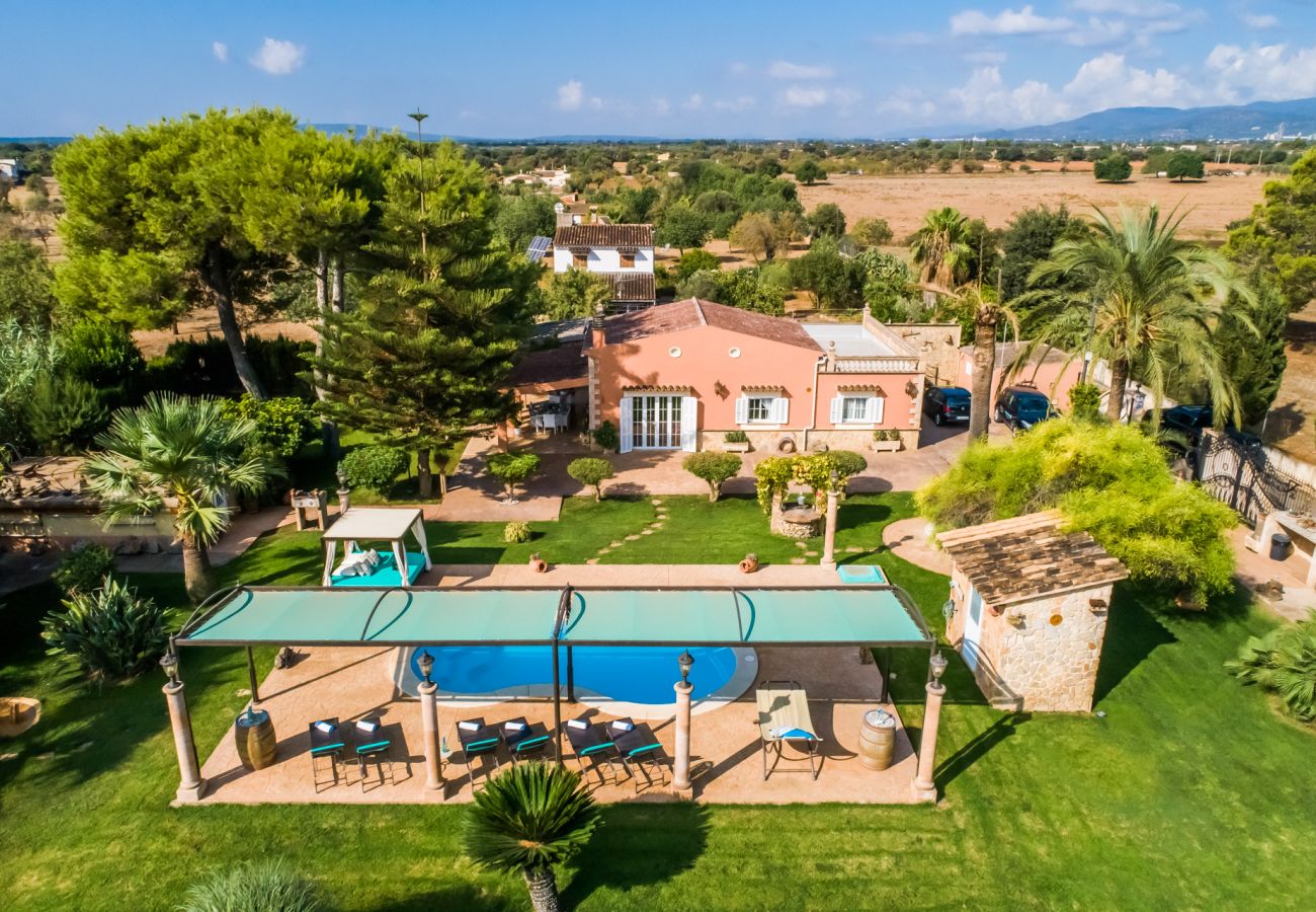 Country house in Inca - Finca in Mallorca Can Caragol Inca with pool