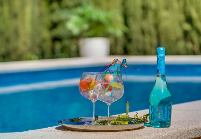 Country house in Selva - Country house Can Flauta with pool in Mallorca Country house in Selva - Country house Can Flauta with pool in Mallorca