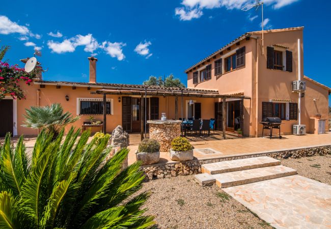 Villa with pool and barbecue in Can Picafort.