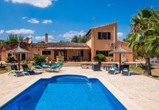 Enjoy an accommodation with swimming pool in Mallorca.