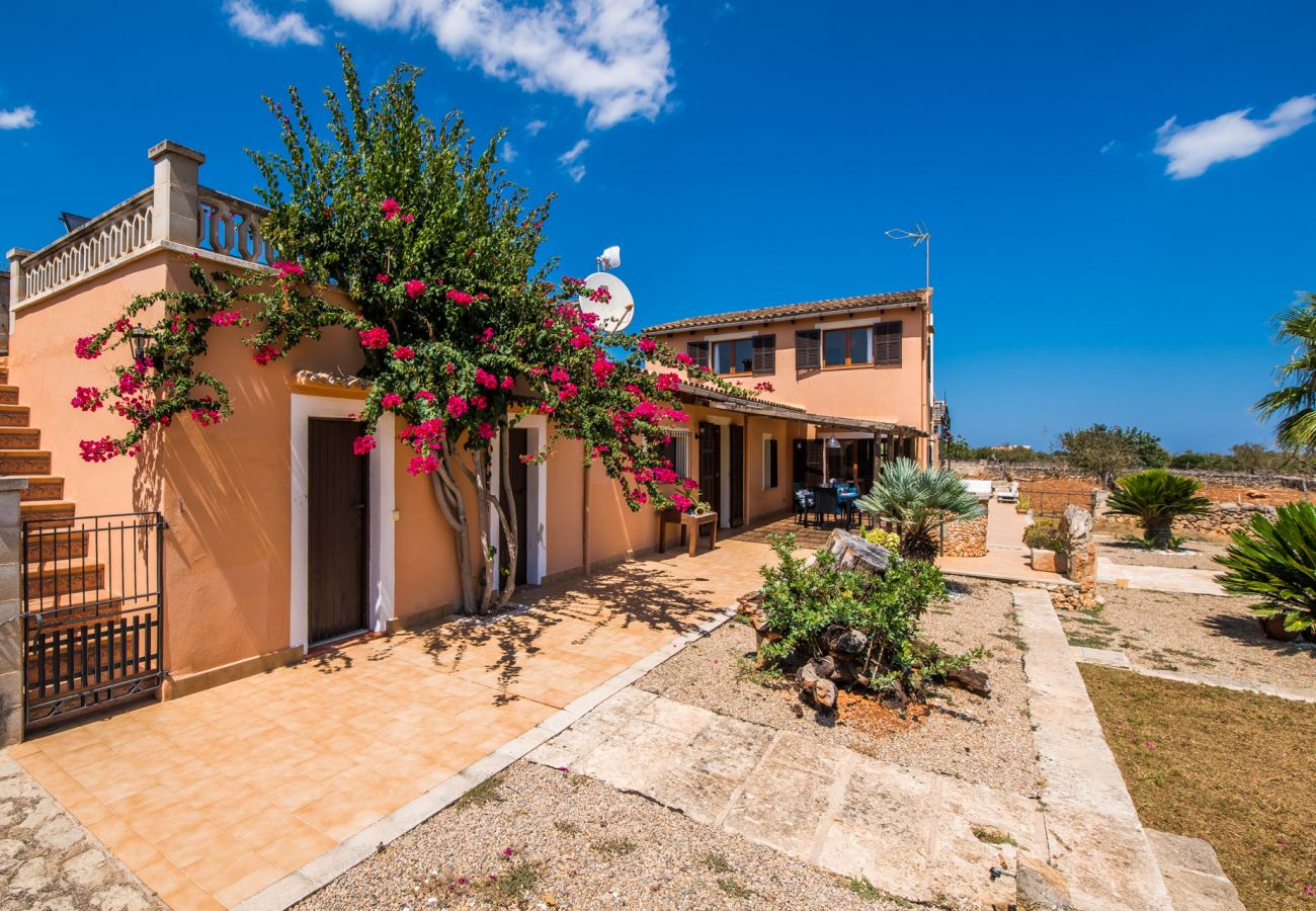 Country house in Santa Margalida - Rural Finca in Mallorca Can Frit with pool