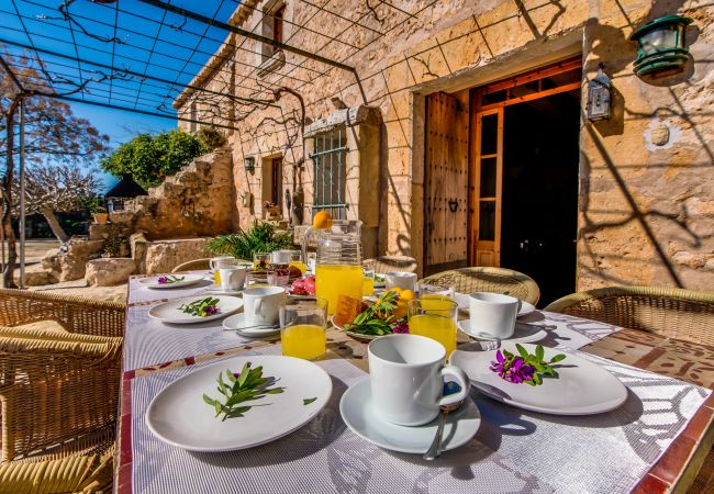 Country house in Sencelles - Finca with pool Finca Maria Costitx in Mallorca Country house in Sencelles - Finca with pool Finca Maria Costitx in Mallorca