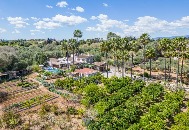Country house in Llubi - Sustainable Finca Can Tomeu in Mallorca Country house in Llubi - Sustainable Finca Can Tomeu in Mallorca
