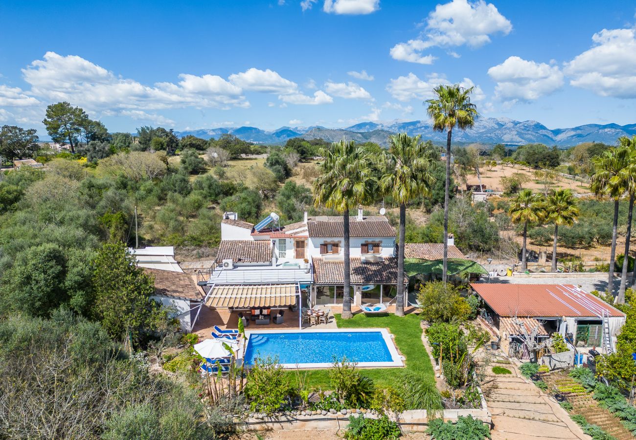 Country house in Llubi - Sustainable Finca Can Tomeu in Mallorca